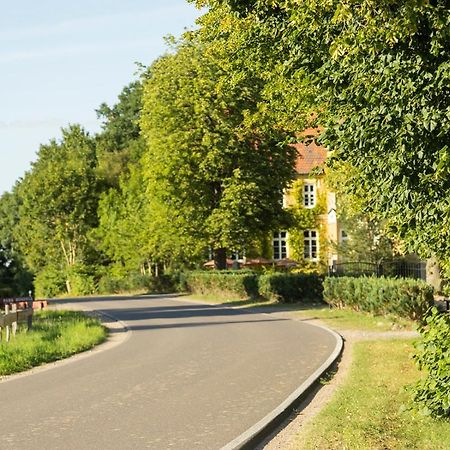 Naturnahes, Neu Moebl.Apartment, Hundefreundlich Neu Gaarz Екстер'єр фото