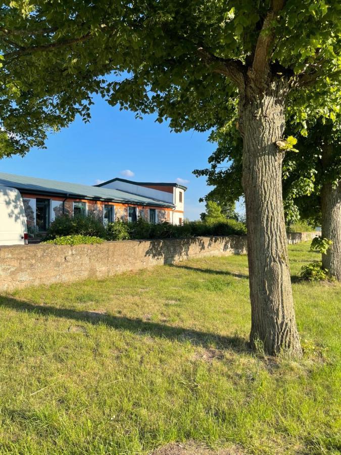 Naturnahes, Neu Moebl.Apartment, Hundefreundlich Neu Gaarz Екстер'єр фото